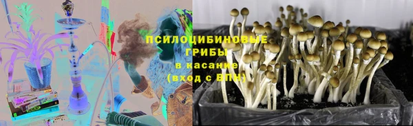 спиды Аркадак