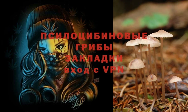 спиды Аркадак